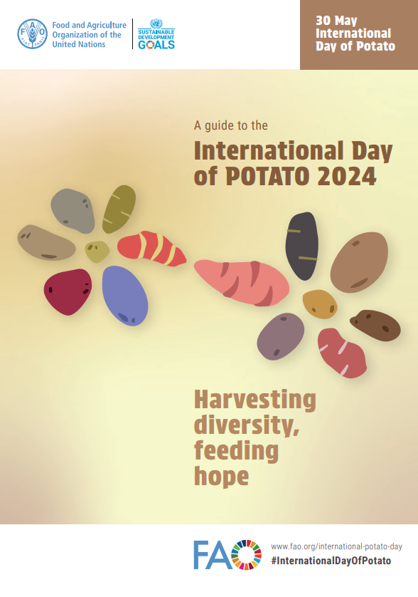 A guide to the International Day of Potato 2024 Harvesting diversity